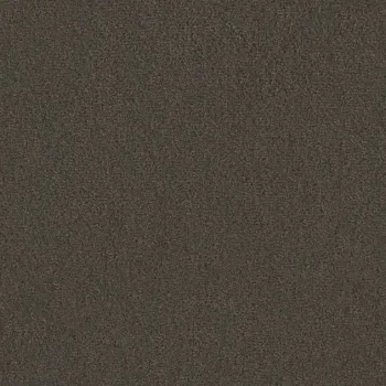 Draufsicht Girloon TWIN Teppichboden Velours 785 Dunkelbraun, 2/4 m breit